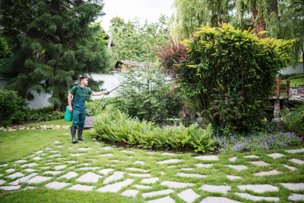 Best Best Pest Control Companies  in Waikapu, HI