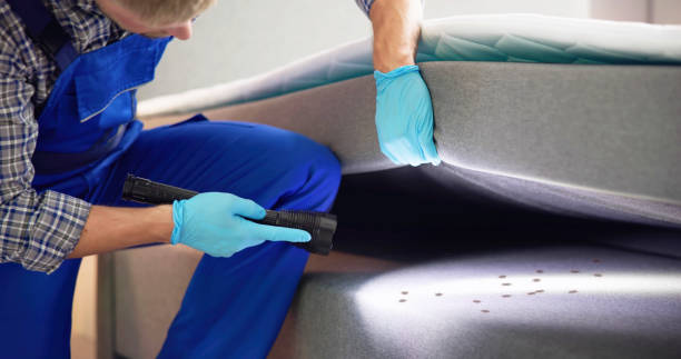 Best Mosquito Control Services  in Waikapu, HI