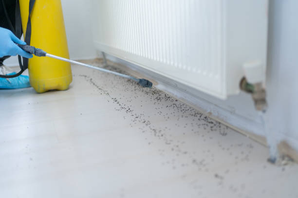 Best Best Pest Control Companies  in Waikapu, HI